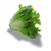 Lechuga