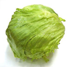 Lechuga iceberg