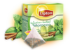 Infusión Lipton Morocco