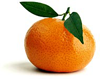 Mandarina 