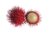 Rambután 