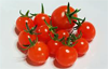 Tomate cherry