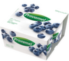 Yogur de soja Bio Arándano Provamel