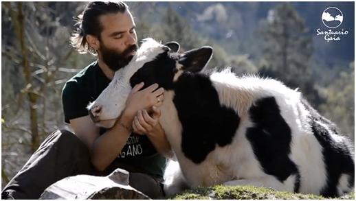 Hay veganos que no saben que lo son