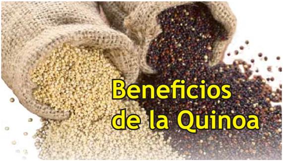 Beneficios de la quinoa, recetas y dónde comprarla