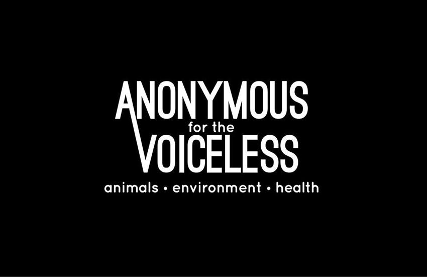 ENTREVISTA A MERY CONLIN DE ANONYMOUS FOR THE VOICELESS