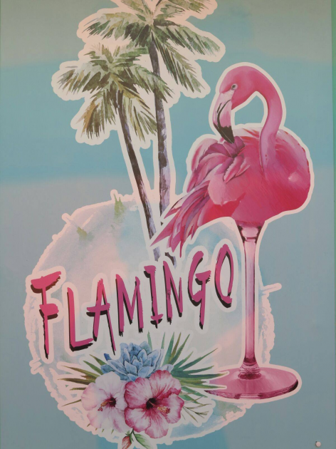 Bar Flamingo