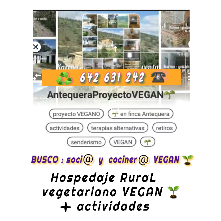 busco socio /a y cocinero VEGAN🌱 para proyecto