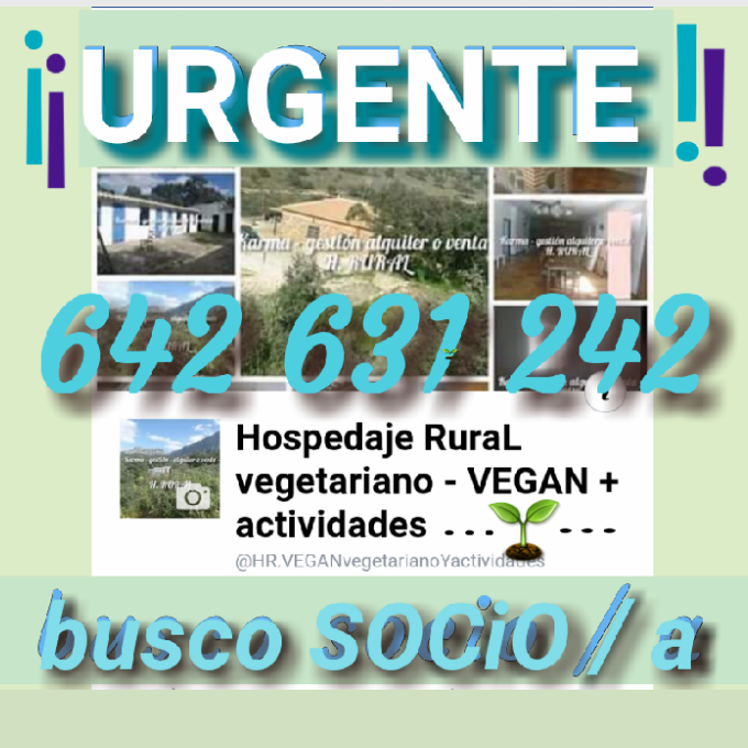 proyecto VEGAN 🌱