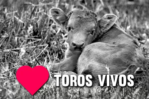 Tauromaquia y vegetarianismo