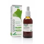 Extracto de Ginkgo Biloba 50 ml Soria Natural